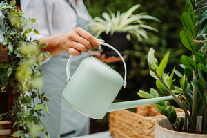 Vakantietips voor je kamerplanten